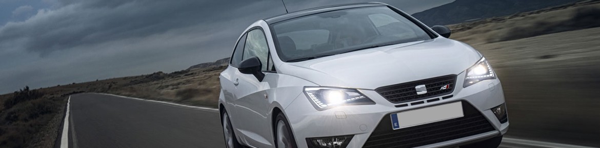 Chiptuning DrakeBox Seat Leon 2.0 TDI CR 110 ps