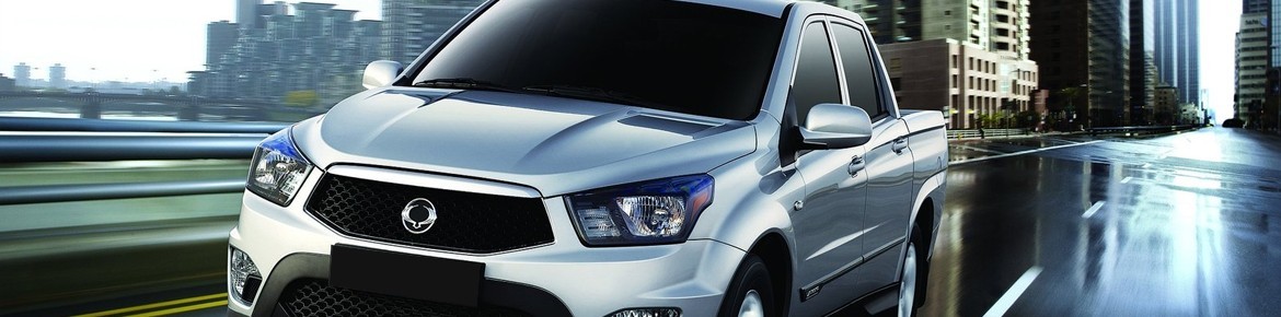 Chiptuning DrakeBox Ssangyong Rexton 2.2 E-XDI 178 ps